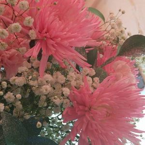 Meet your Posher, Carin